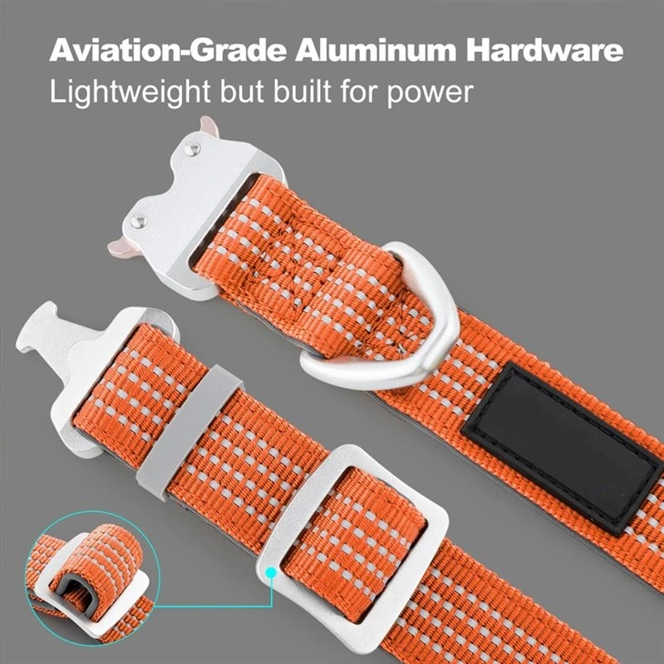 Bulldog Collar best