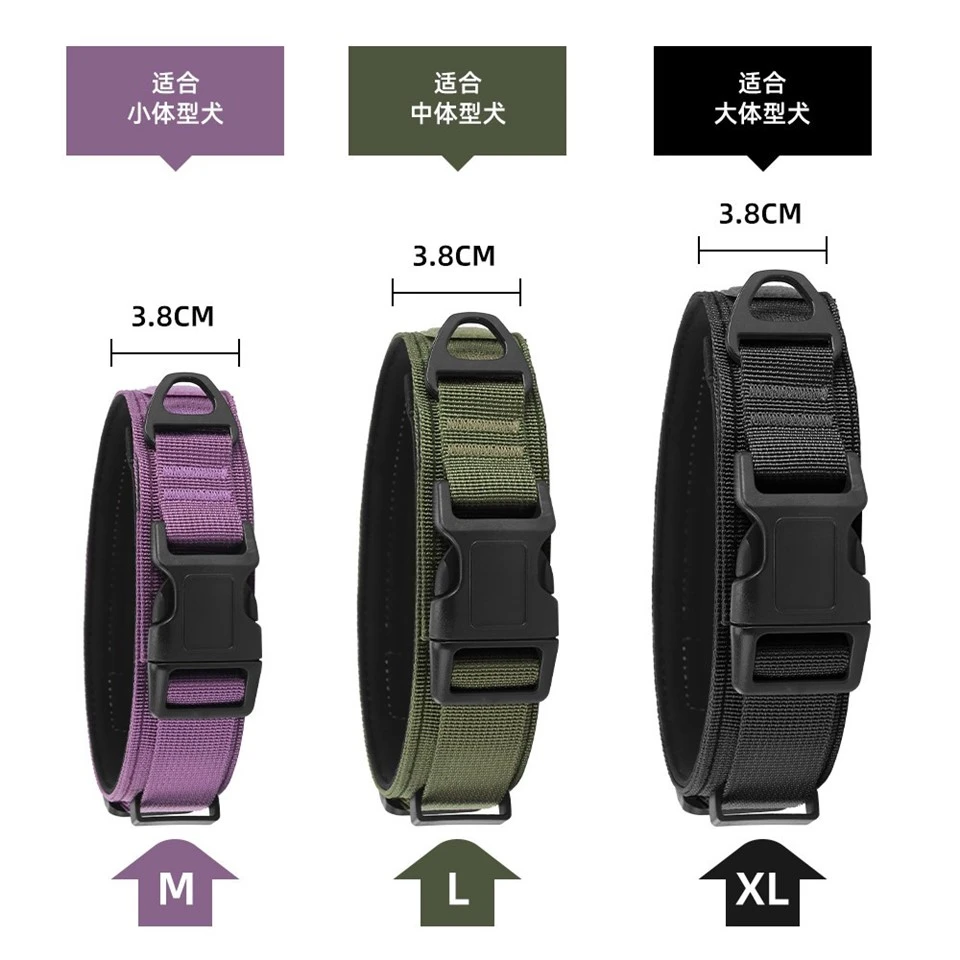 Dog Training Collar price