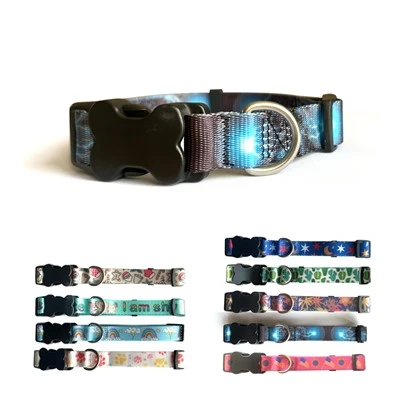 Cute Dog Collars